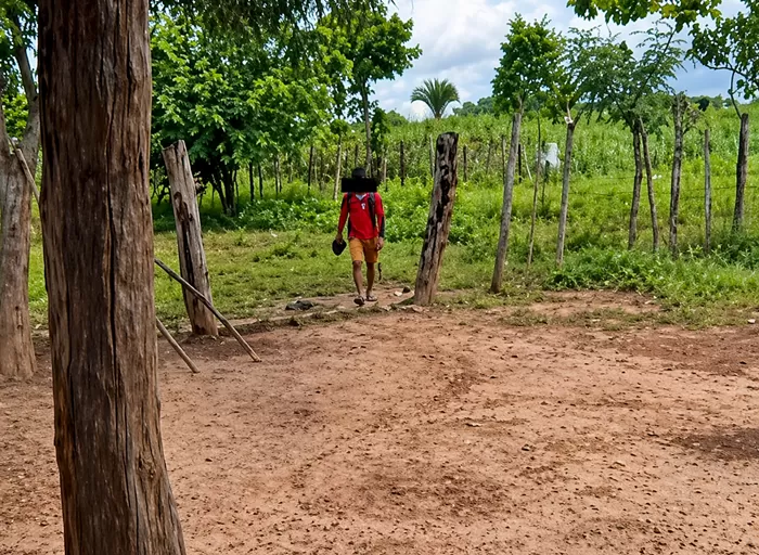 10 KM A PÉ: essa é a realidade de crianças na zona rural de Codó